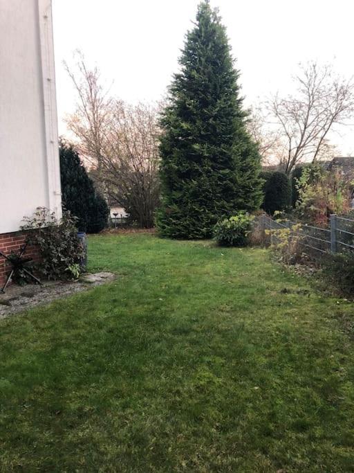 Ferienwohnung Bergbluete Braunlage Zewnętrze zdjęcie