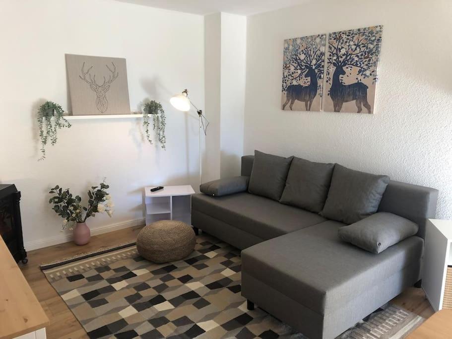 Ferienwohnung Bergbluete Braunlage Zewnętrze zdjęcie